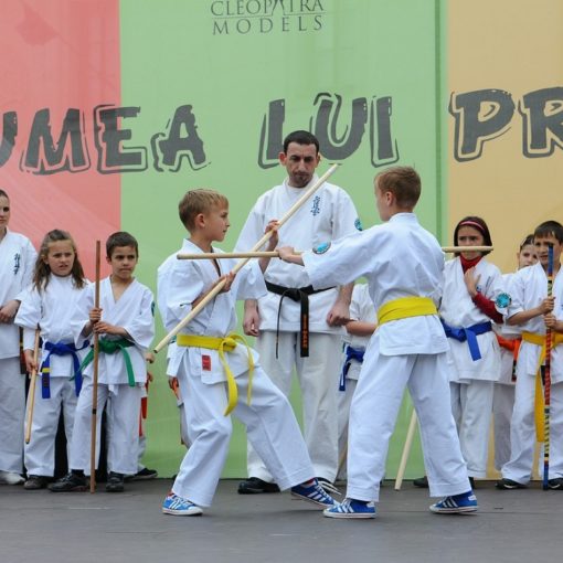 martial arts benefits for children