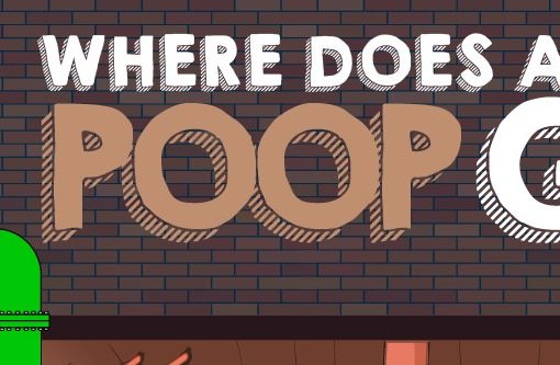 where does all the poop go