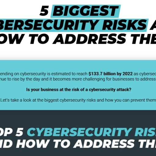 What are the Biggest Cybersecurity Risks? How Can You Address Them? (Infographic)