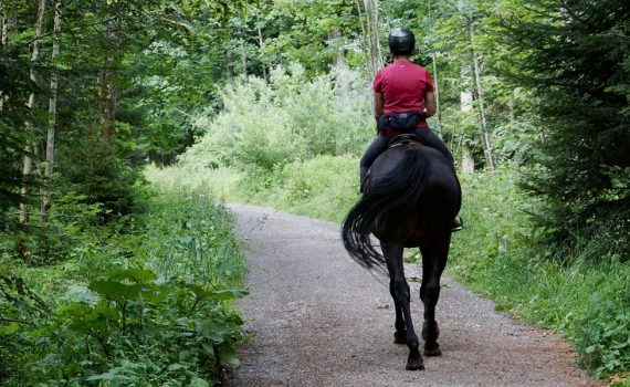 4 Simple Horseback Riding Tips for Beginners